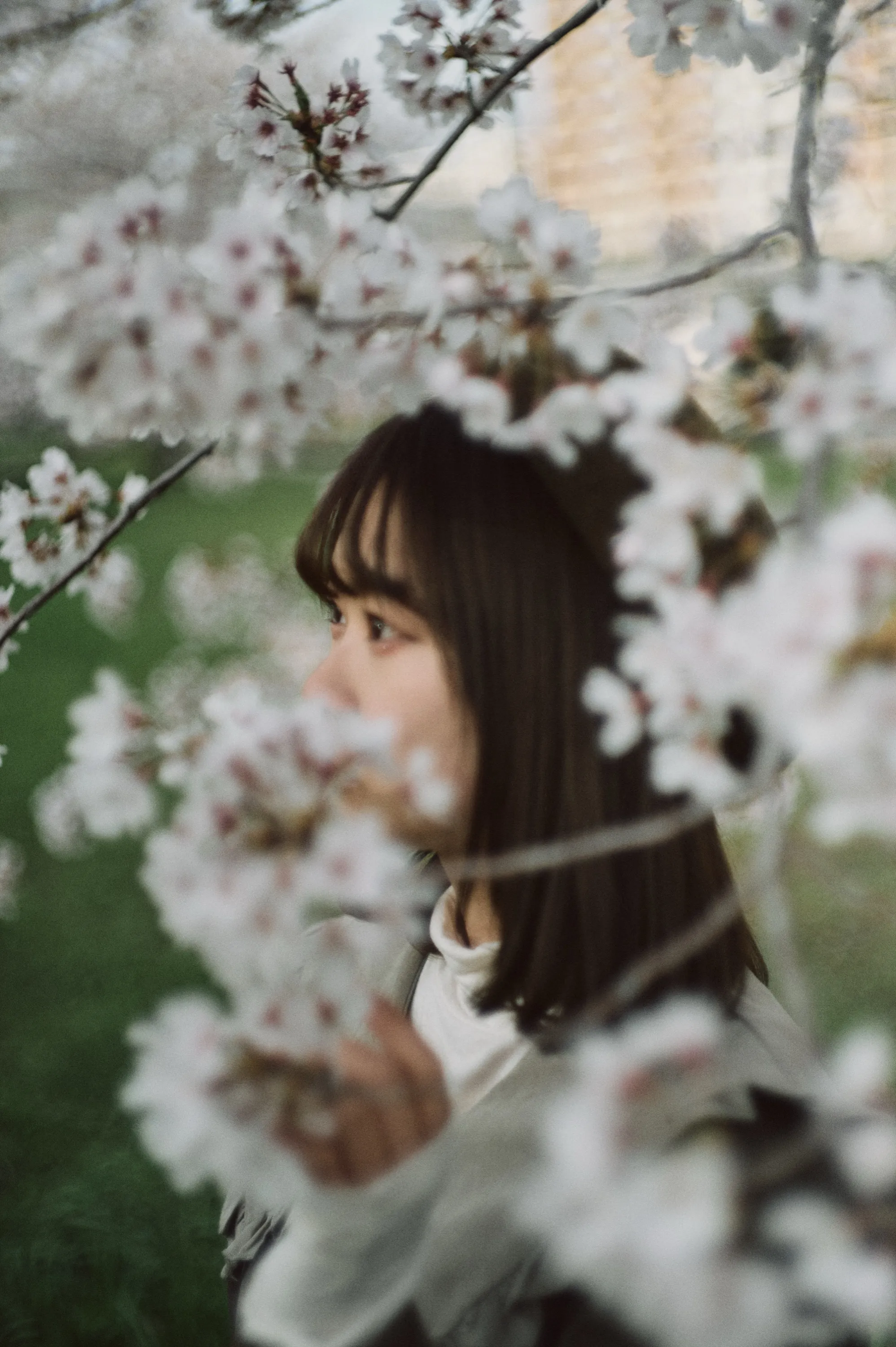 Portrait photograph